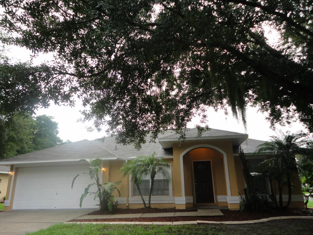 5401 Chenault Pl, Riverview, FL 33578 photo 1