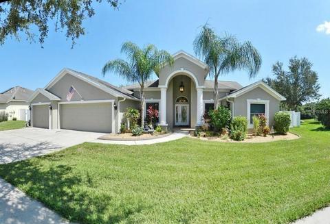 12406 Windmill Cove Dr, Riverview, FL 33569 photo 1