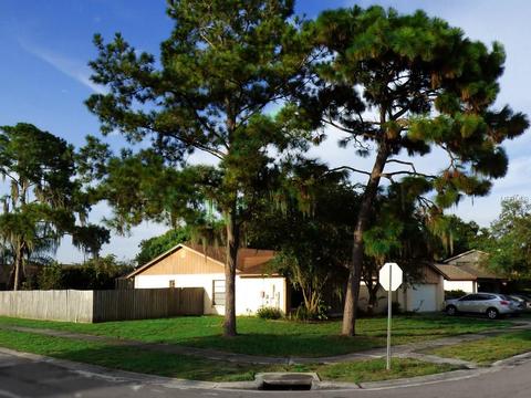 1202 Letona Ln, Valrico, FL 33596 photo 1