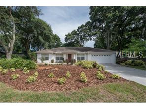 4208 Brooke Dr, Valrico, FL 33594 photo 1