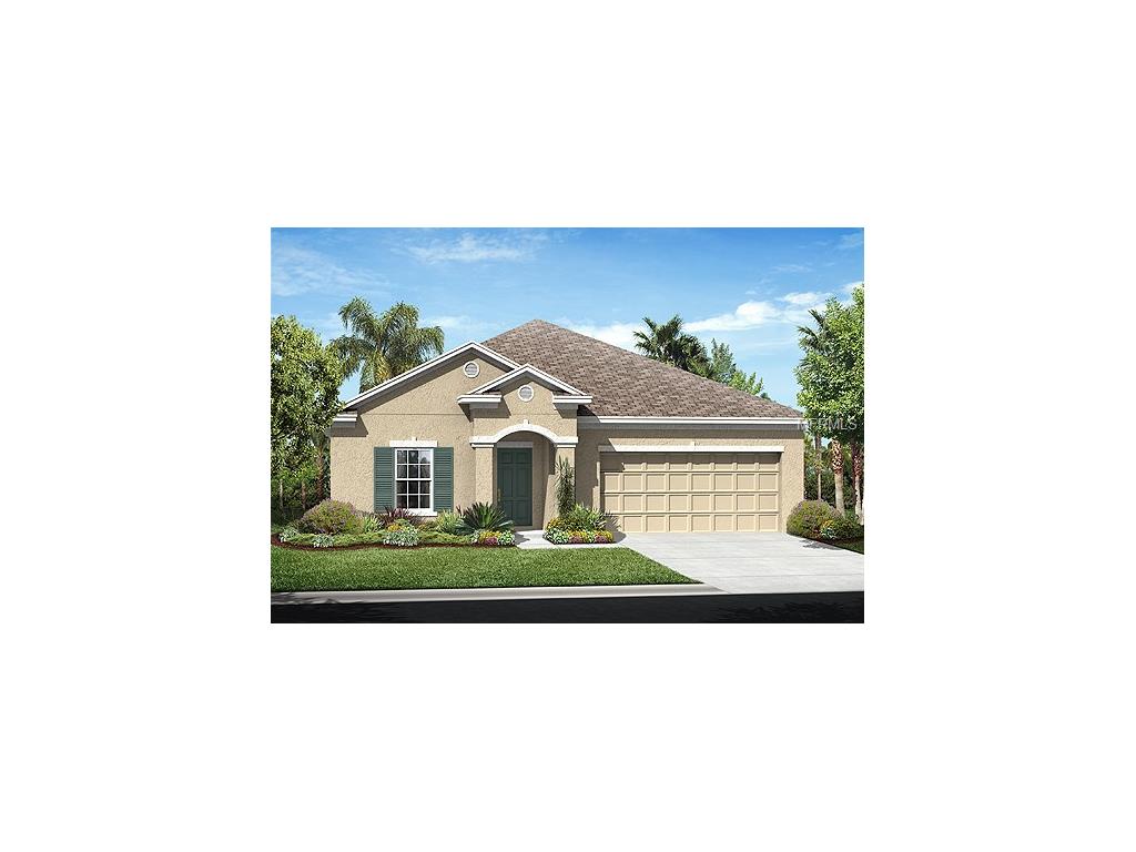 12206 Rambling Stream Dr, Riverview, FL 33569 photo 1