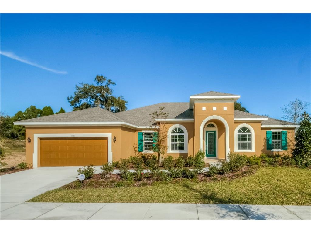 1139 Tracey Ann Loop, Seffner, FL 33584 photo 1