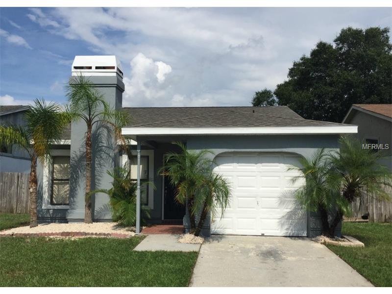 13419 Laraway Dr, Riverview, FL 33579 photo 1