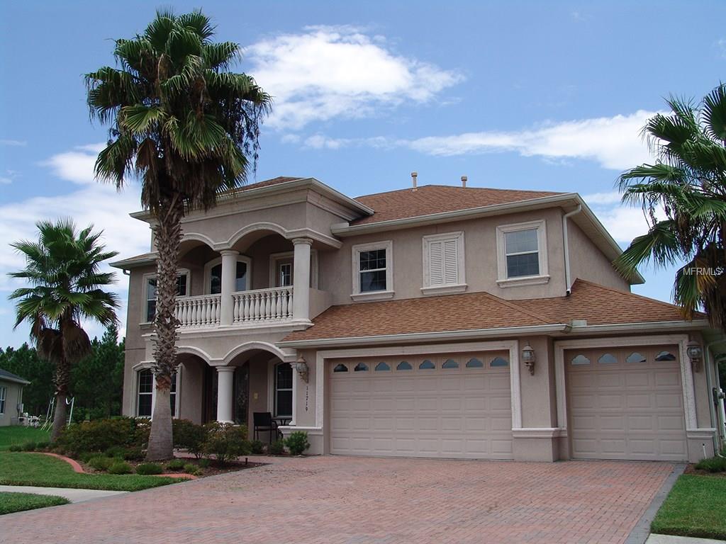 11719 Newberry Grove Loop, Riverview, FL 33579 photo 1