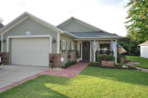 11719 Mango Cross Ct, Seffner, FL 33584 photo 1