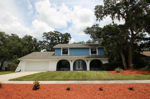 3912 Applegate Cir, Brandon, FL 33511 photo 1
