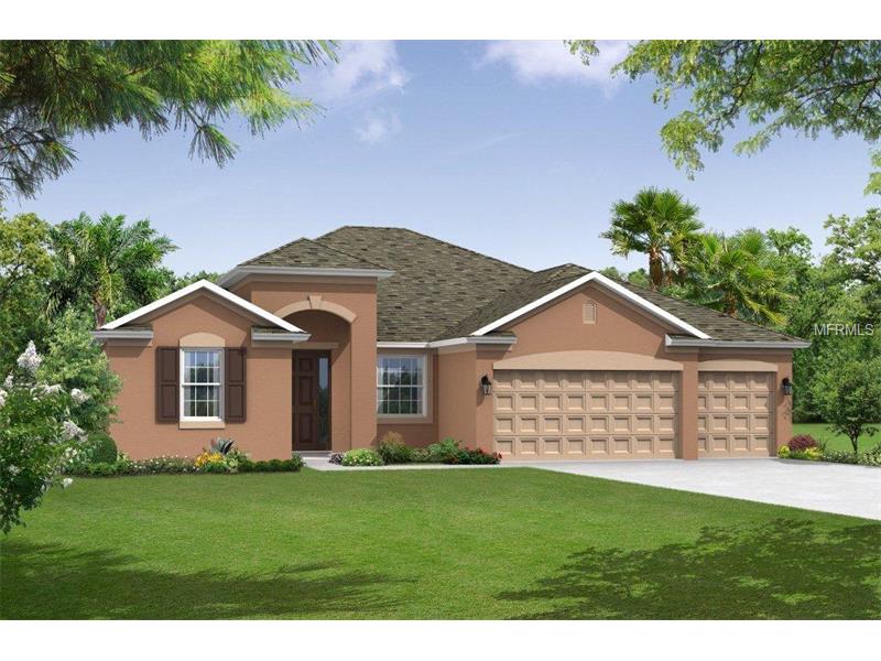11601 Iris Spring Ct, Riverview, FL 33579 photo 1