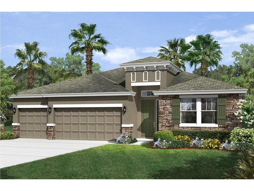 6723 Riverside Bluffs Dr, Riverview, FL 33578 photo 1
