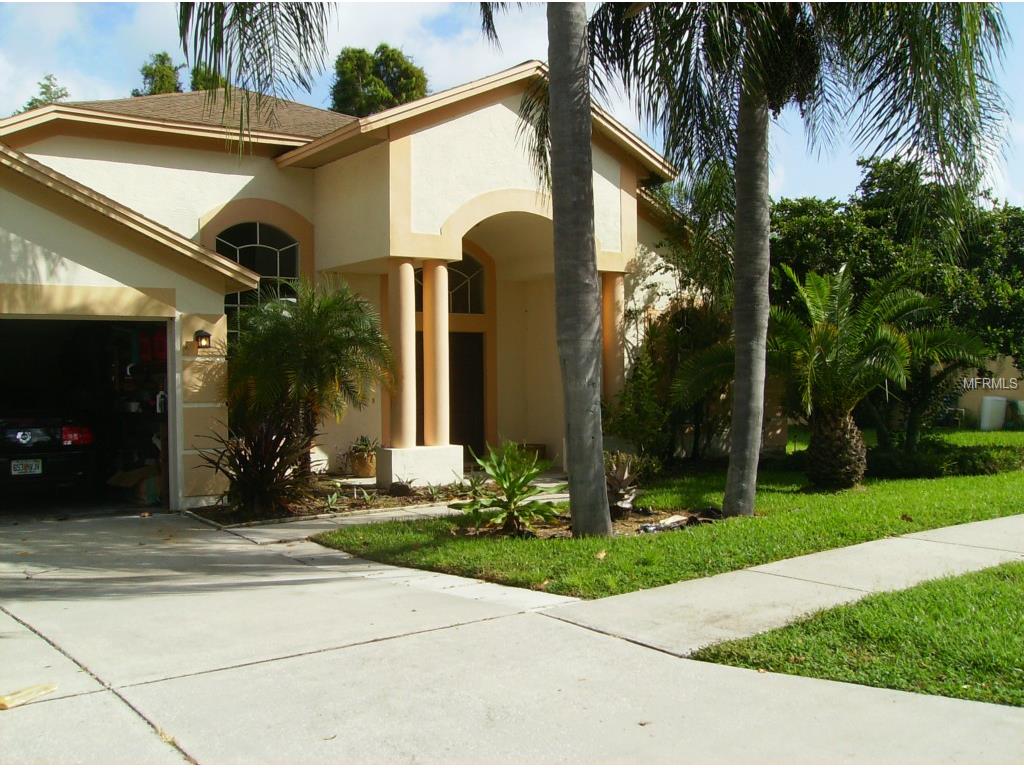 8347 Hawbuck St, New Port Richey, FL 34655 photo 1