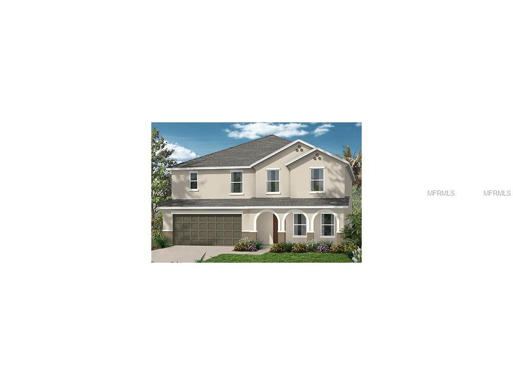 11527 Luckygem Dr, Riverview, FL 33579 photo 1