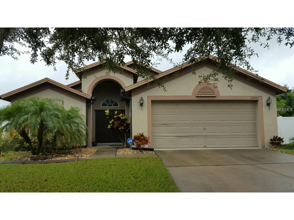 11001 Silver Dancer Dr, Riverview, FL 33579 photo 1