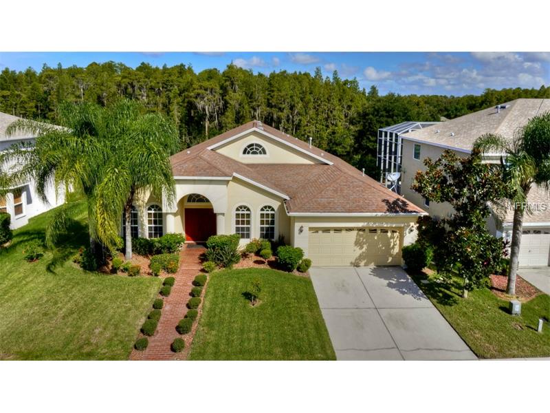 2709 Brinley Dr, Trinity, FL 34655 photo 1