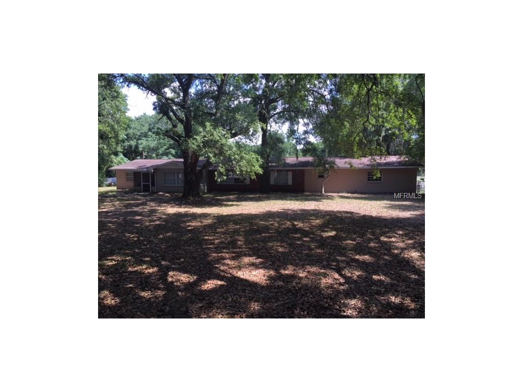 12610 Sydney Rd, Dover, FL 33527 photo 1