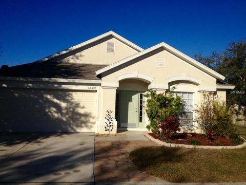 12409 Tree Pointe Ct, Riverview, FL 33578 photo 1