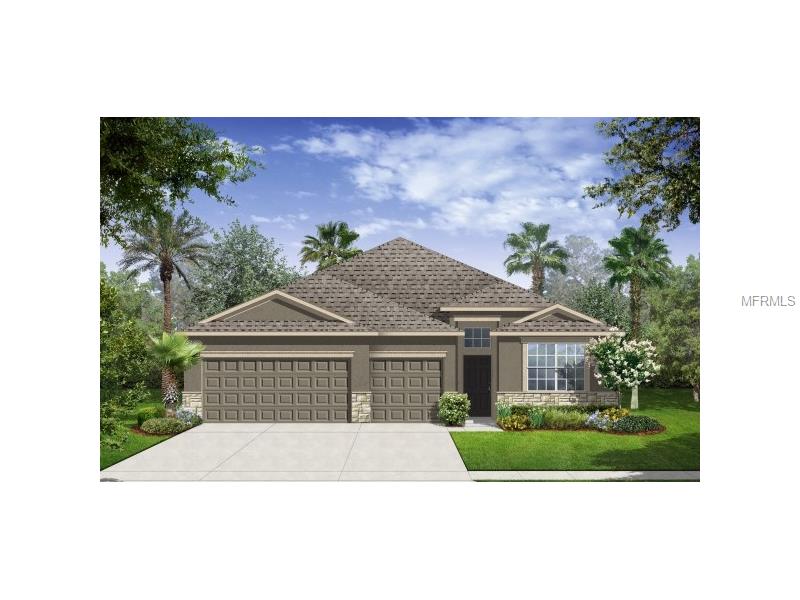 11612 Brighton Knoll Loop, Riverview, FL 33579 photo 1