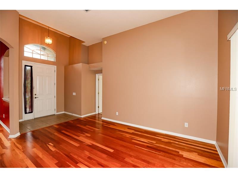 10819 Australian Pine Dr, Riverview, FL 33579 photo 1