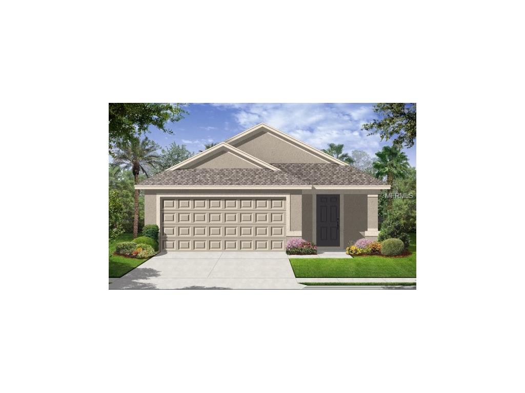 1925 Hawks View Dr, Ruskin, FL 33570 photo 1