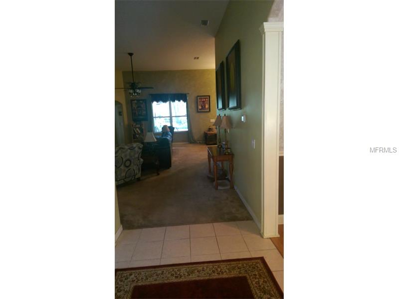 920 Hickory Fork Dr, Seffner, FL 33584 photo 1