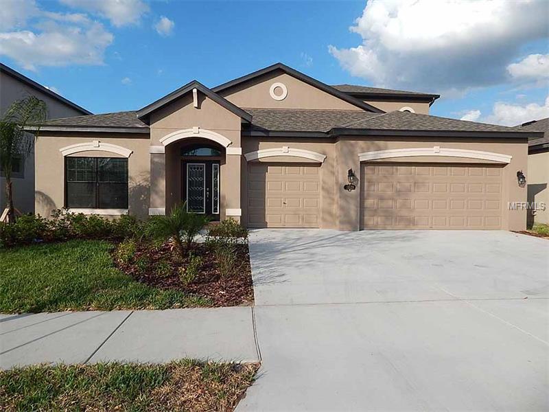 11520 Scarlet Ibis Pl, Riverview, FL 33569 photo 1