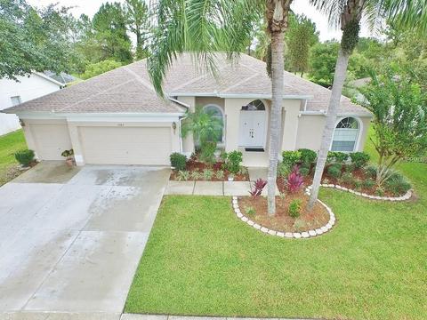18413 Bittern Ave, Lutz, FL 33558 photo 1
