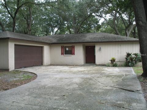 3221 Acapulco Dr, Riverview, FL 33569 photo 1