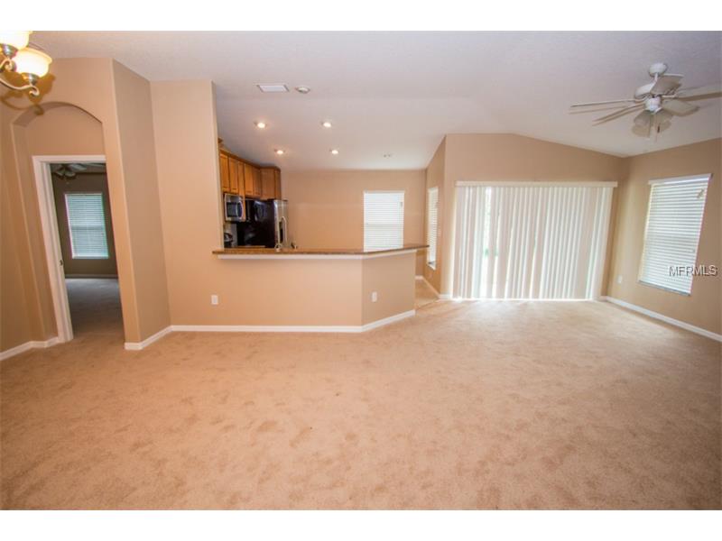 13032 Avalon Crest Ct, Riverview, FL 33579 photo 1