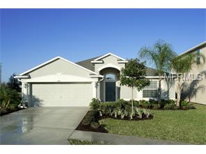 10036 Ives Loop, Hudson, FL 34667 photo 1