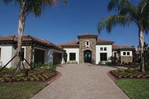 9725 Milano Dr, Trinity, FL 34655 photo 1