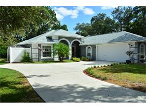 10408 Kankakee Ln, Riverview, FL 33578 photo 1
