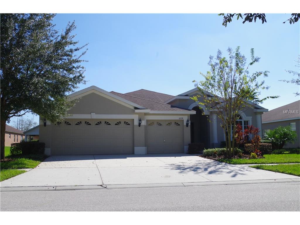 6224 Bridgevista Dr, Lithia, FL 33547 photo 1