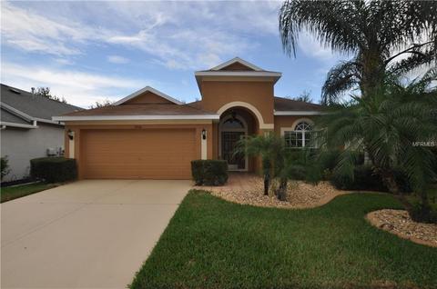 13708 Sigler St, Riverview, FL 33579 photo 1