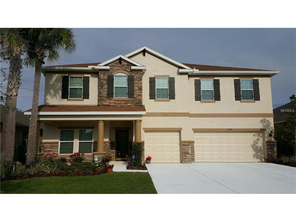 11319 Scribner Station Ln, Lithia, FL 33547 photo 1