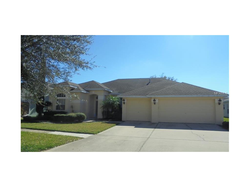 7255 Bucks Ford Dr, Riverview, FL 33578 photo 1