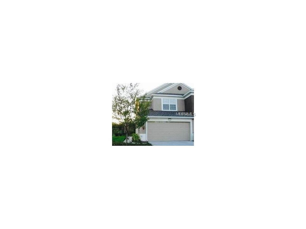 2113 Wild Grape Pl, Riverview, FL 33578 photo 1