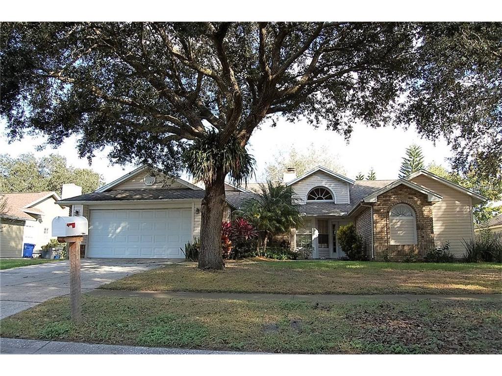 10409 Tara Dr, Riverview, FL 33578 photo 1