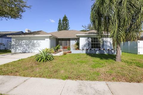 12817 Tallowood Dr, Riverview, FL 33579 photo 1