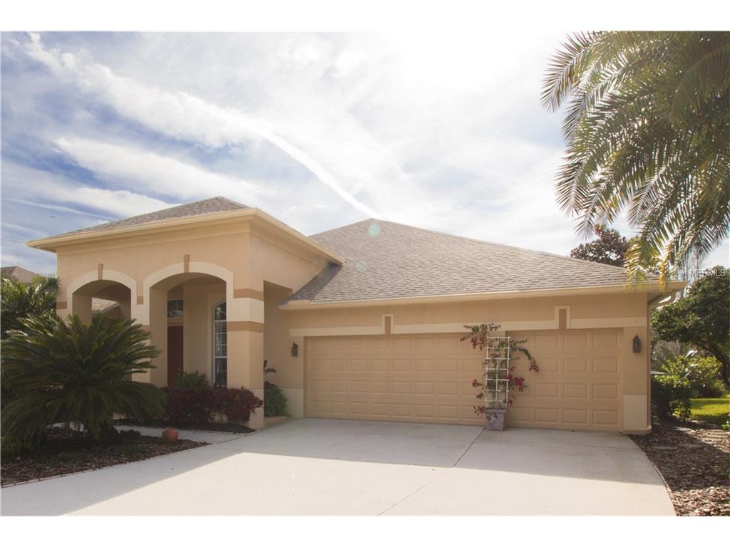 19207 Wind Dancer St, Lutz, FL 33558 photo 1