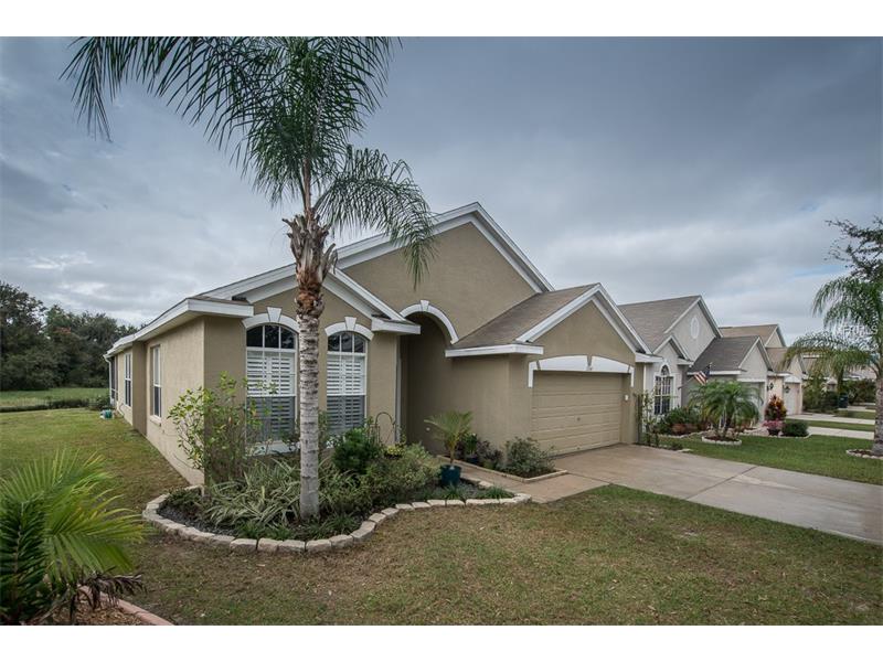 13745 Ogakor Dr, Riverview, FL 33579 photo 1