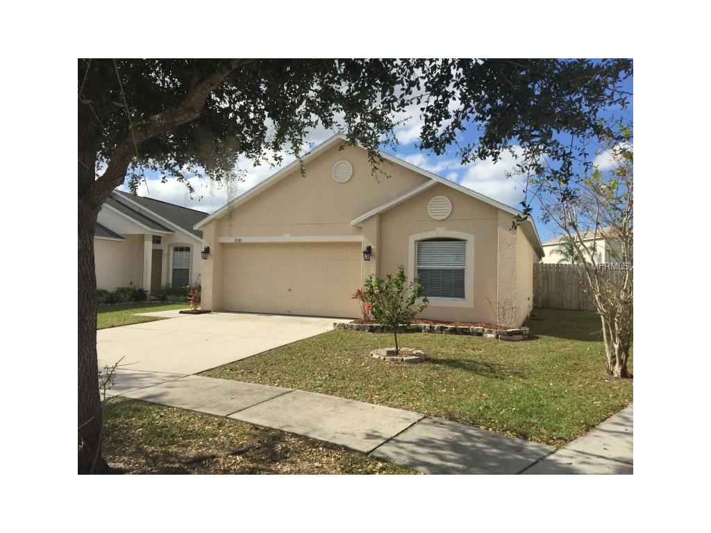 11140 Summer Star Dr, Riverview, FL 33579 photo 1