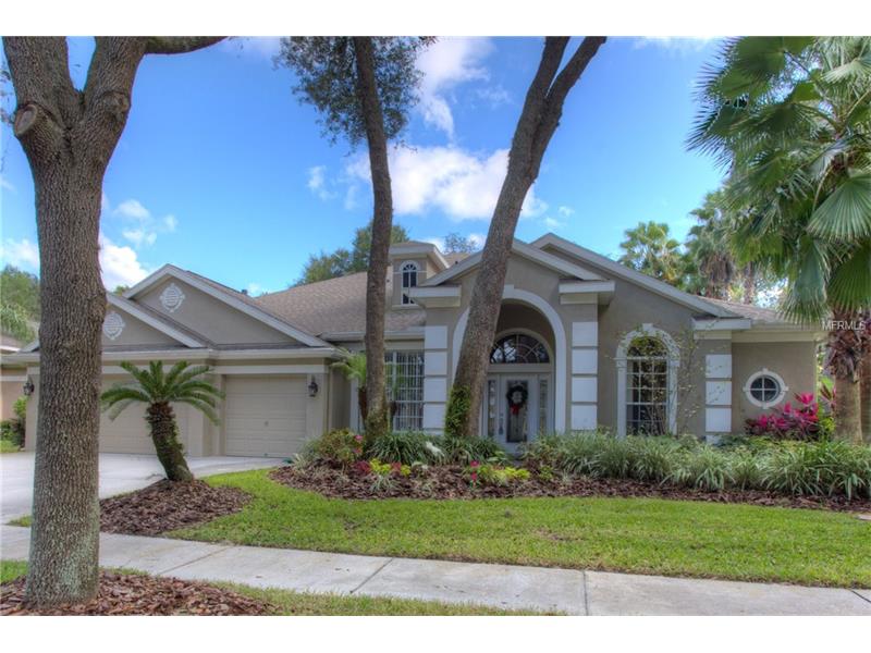 5752 Eaglemount Cir, Lithia, FL 33547 photo 1
