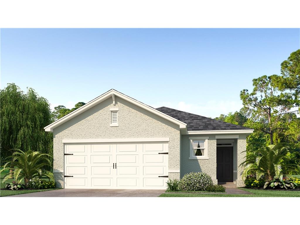 10521 Whispering Hammock Dr, Riverview, FL 33578 photo 1