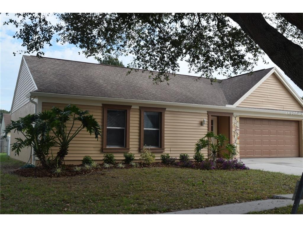 2602 Hampton Park Pl, Seffner, FL 33584 photo 1