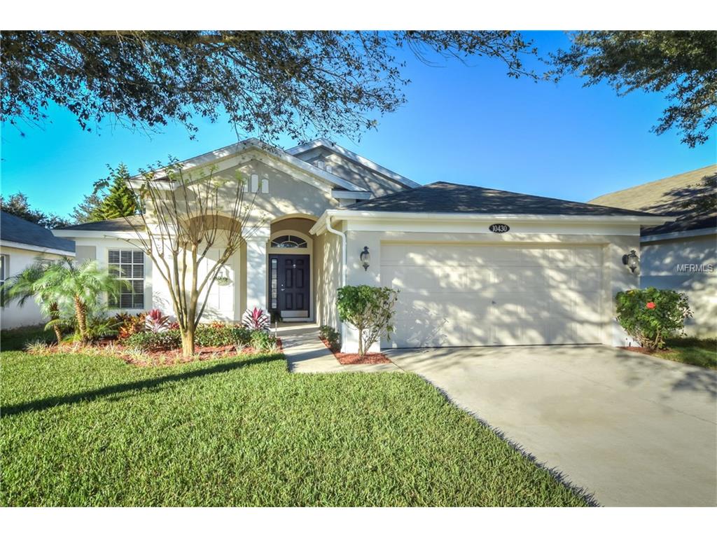 10430 Soaring Eagle Dr, Riverview, FL 33578 photo 1