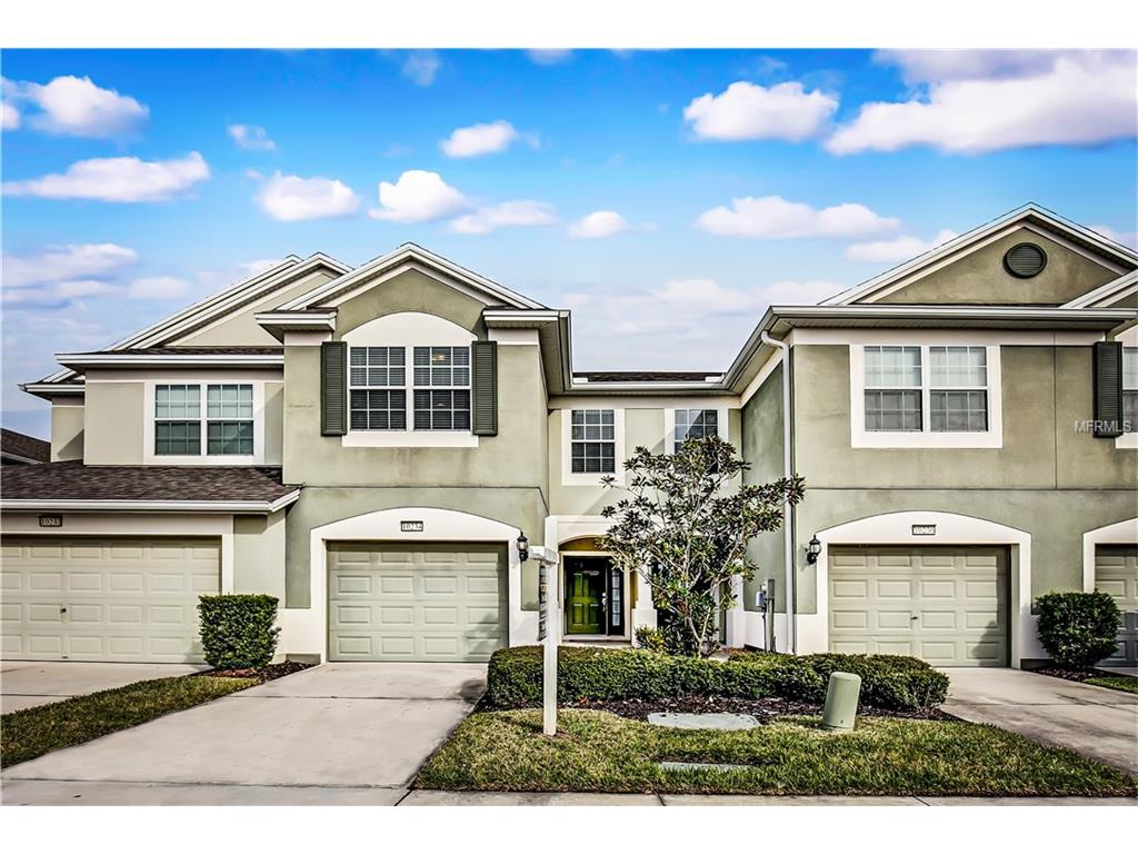 10234 Red Currant Ct, Riverview, FL 33578 photo 1