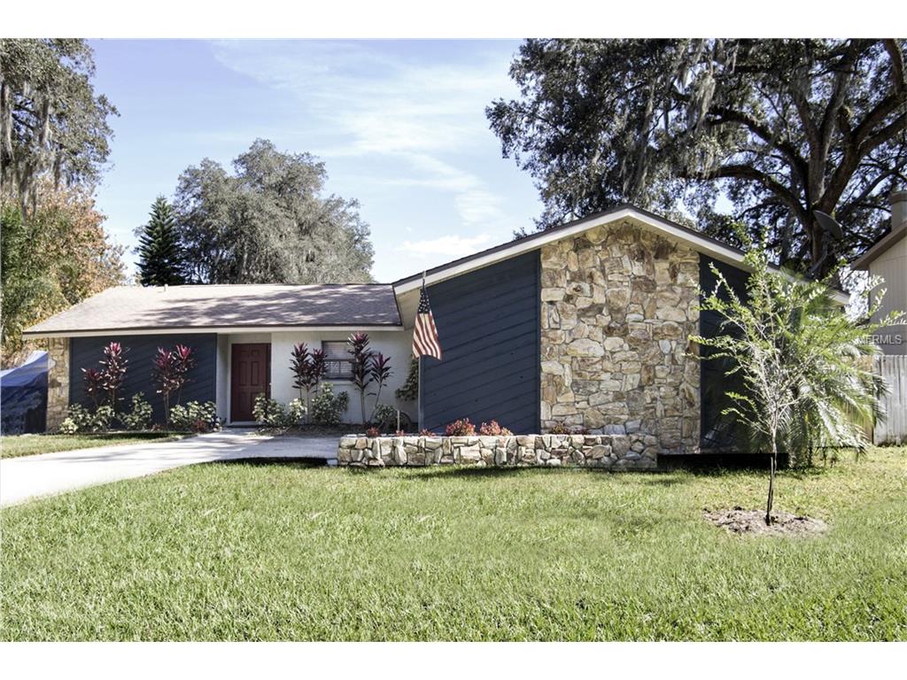 3303 Acapulco Dr, Riverview, FL 33578 photo 1