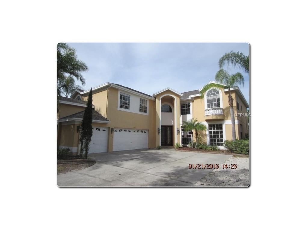 10912 Summerton Dr, Riverview, FL 33579 photo 1