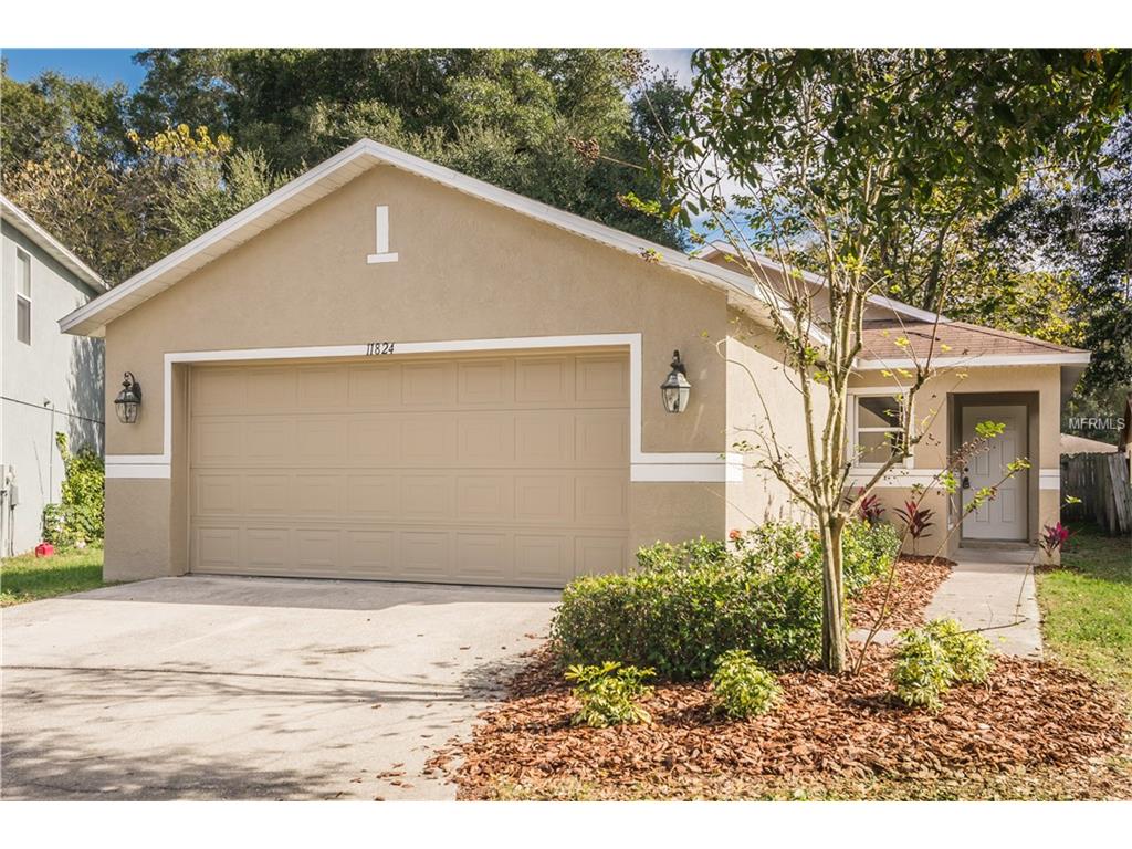 11824 Mango Groves Blvd, Seffner, FL 33584 photo 1