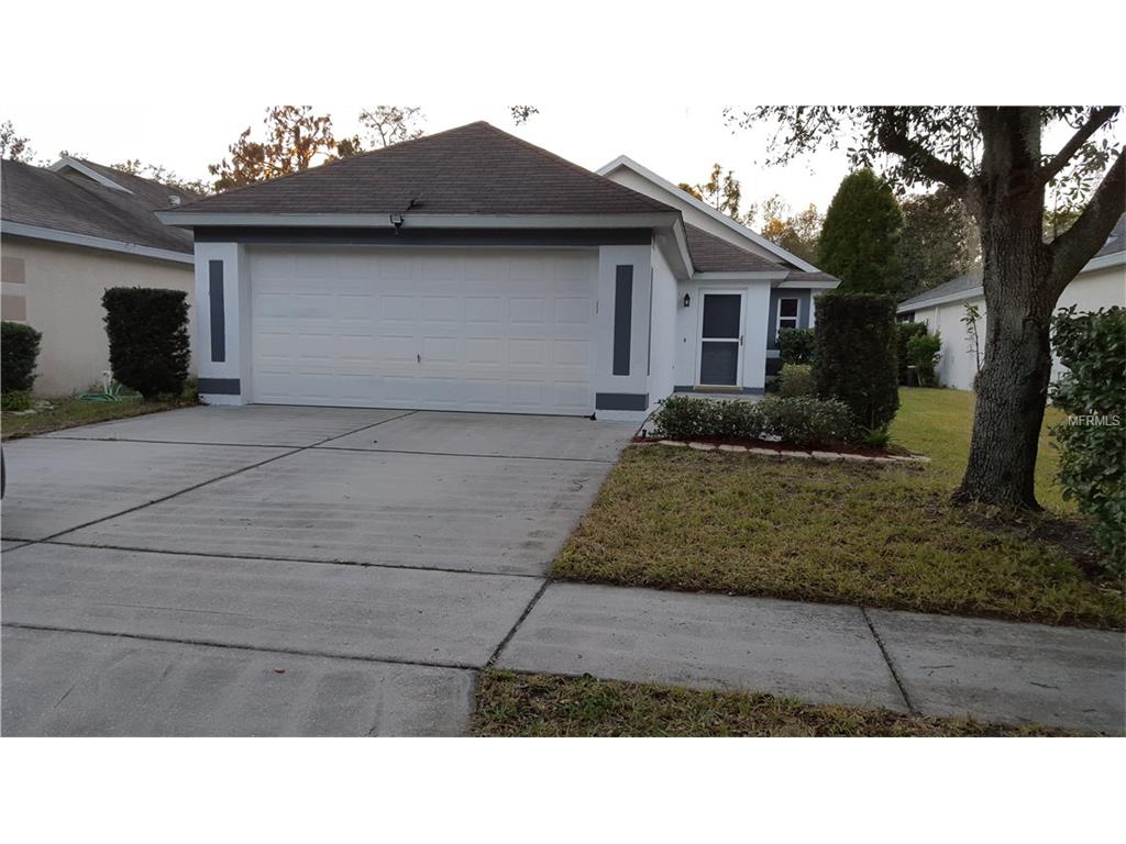 5809 Tanagerside Rd, Lithia, FL 33547 photo 1