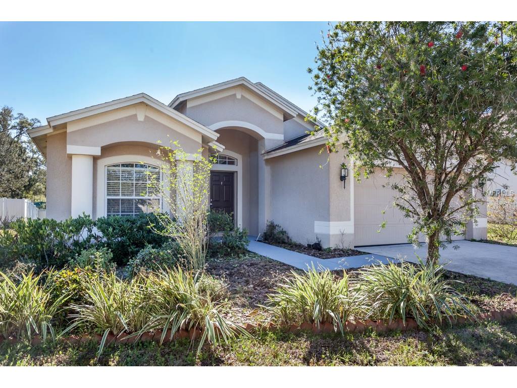 403 Down Pine Dr, Seffner, FL 33584 photo 1