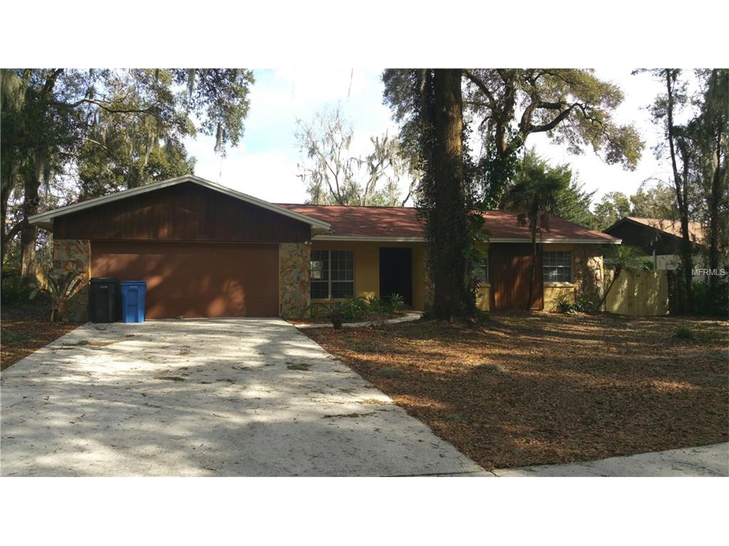 2510 Linden Tree St, Seffner, FL 33584 photo 1